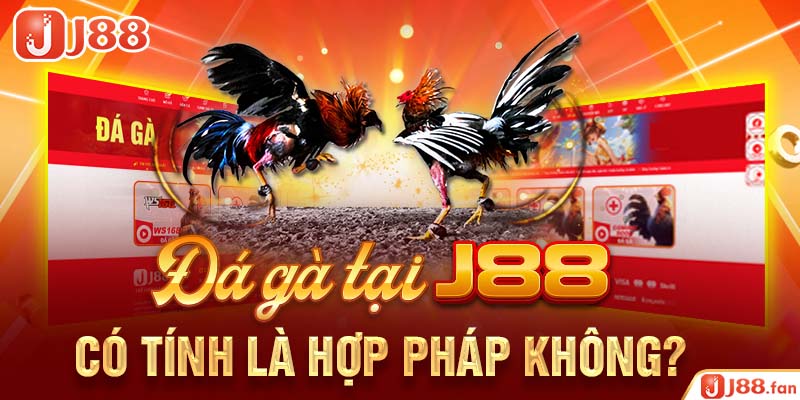 Đá gà tại J88 có tính là hợp pháp không?